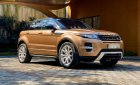 LandRover Evoque Dynamic 2014 - Bán ô tô LandRover Evoque Dynamic sản xuất năm 2014, màu vàng đồng, xe nhập