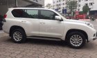 Toyota Land Cruiser 2010 - Xe Toyota Land Cruiser sản xuất 2010, xe nhập, giá tốt