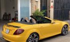 Mercedes-Benz SLK class   2007 - Cần bán gấp Mercedes SLK class năm sản xuất 2007, nhập khẩu nguyên chiếc