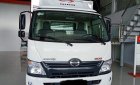 Hino 300 Series 2020 - Xe tải Hino 300XZU720 3T5 thùng kín 5m2