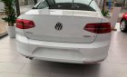 Volkswagen Passat GP 2018 -  Volkswagen Passat BM Comfort 