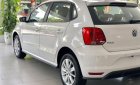 Volkswagen Polo 2021 - Volkswagen Polo xe Đức nhập khẩu, tặng quà hấp dẫn, xe sẵn giao ngay