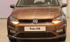 Volkswagen Polo 2019 - Volkswagen Polo Hatchback Nâu hổ phách 2020 nhập khẩu nguyên chiếc!!