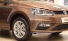 Volkswagen Polo 2019 - Volkswagen Polo Hatchback Nâu hổ phách 2020 nhập khẩu nguyên chiếc!!