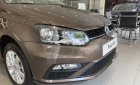 Volkswagen Polo   2019 - Bán xe Volkswagen Polo hatchback đời 2019, màu nâu, nhập khẩu nguyên chiếc