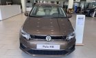 Volkswagen Polo   2019 - Bán xe Volkswagen Polo hatchback đời 2019, màu nâu, nhập khẩu nguyên chiếc