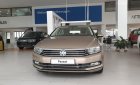 Volkswagen Passat GP 2017 - Cần bán xe Volkswagen Passat , nhập khẩu, tặng 100% phí trước bạ