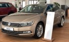 Volkswagen Passat GP 2017 - Cần bán xe Volkswagen Passat , nhập khẩu, tặng 100% phí trước bạ