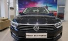 Volkswagen Passat   2018 - Volkswagen Passat mẫu xe dành cho doanh nhân, rẻ như xe Nhật, nhập khẩu nguyên chiếc Đức, tặng 100% phí trước bạ
