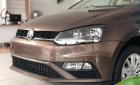 Volkswagen Polo   2019 - Bán xe Volkswagen Polo đời 2019, màu nâu, nhập khẩu chính hãng