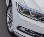 Volkswagen Passat 2017 - Volkswagen Passat mẫu xe dành cho doanh nhân, rẻ như xe Nhật, nhập khẩu nguyên chiếc Đức, TẶNG 100% PHÍ TRƯỚC BẠ t11