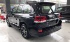 Toyota Land Cruiser Executive 2020 - Bán xe Toyotota Land Cruiser 4.6V8 Executive Lounge 2021 Trung Đông