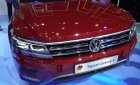 Volkswagen Tiguan Luxury S 2019 - Volkswagen Tiguan Luxury S - Thể thao mạnh mẽ