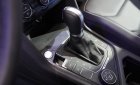 Volkswagen Tiguan Luxury S 2019 - Volkswagen Tiguan Luxury S - Thể thao mạnh mẽ