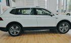 Volkswagen Tiguan 2019 - Bán ô tô Volkswagen Tiguan đời 2019, màu trắng, nhập khẩu chính hãng