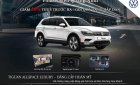 Volkswagen Tiguan 2019 - Volkswagen Tiguan Alspace Luxury nhập khẩu nguyên chiếc, giảm 120tr phí trước bạ trong tháng 2