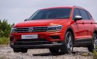 Volkswagen Tiguan 2019 - Volkswagen Tiguan Alspace Luxury nhập khẩu nguyên chiếc, giảm 120tr phí trước bạ trong tháng 2