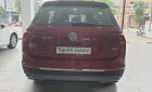 Volkswagen Tiguan 2019 - Volkswagen Tiguan Alspace Luxury nhập khẩu nguyên chiếc, giảm 120tr phí trước bạ trong tháng 2