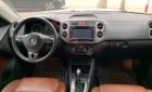 Volkswagen Tiguan     2010 - Cần bán lại xe Volkswagen Tiguan đời 2010, màu trắng, nhập khẩu 