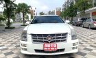 Cadillac STS 2010 - Bán xe Cadillac STS năm 2010, xe nhập chính chủ