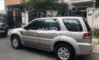 Ford Escape 2009 - Bán Ford Escape sản xuất năm 2009, màu bạc, xe nhập còn mới, giá chỉ 325 triệu