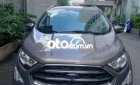 Ford EcoSport   Titanium  2019 - Bán Ford EcoSport Titanium năm sản xuất 2019, màu xám xe gia đình