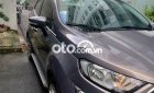 Ford EcoSport   Titanium  2019 - Bán Ford EcoSport Titanium năm sản xuất 2019, màu xám xe gia đình