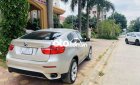 BMW X6   2009 - Cần bán gấp BMW X6 năm sản xuất 2009, màu vàng còn mới, 695tr