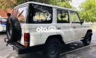 Toyota Land Cruiser 1994 - Cần bán Toyota Land Cruiser đời 1994, màu trắng, nhập khẩu nguyên chiếc chính chủ