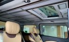 Ford Tourneo   Limousine 2.0 AT   2021 - Cần bán Ford Tourneo Limousine 2.0 AT sản xuất năm 2021, màu nâu