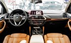 BMW X4   X-Line 2019 - Bán BMW X4 X-Line 2019, màu xám, nhập khẩu