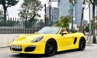Porsche Boxster 2015 - Cần bán gấp Porsche Boxster đời 2015, màu vàng, nhập khẩu