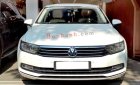 Volkswagen Passat   Blue Motion High   2019 - Cần bán xe Volkswagen Passat Blue Motion High năm 2019, màu trắng, nhập khẩu