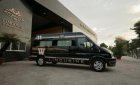 Ford Transit Limousine 2020 - Bán Ford Transit Limousine sản xuất 2020, màu đen