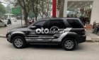 Ford Escape  XLT  2008 - Bán Ford Escape XLT sản xuất năm 2008, màu đen