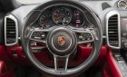 Porsche Cayenne 2017 - Cần bán Porsche Cayenne Platinum năm 2017 giá 4 tỷ 350tr