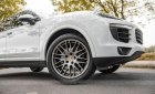 Porsche Cayenne 2017 - Cần bán Porsche Cayenne Platinum năm 2017 giá 4 tỷ 350tr