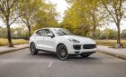 Porsche Cayenne 2017 - Cần bán Porsche Cayenne Platinum năm 2017 giá 4 tỷ 350tr