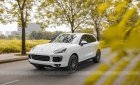 Porsche Cayenne 2017 - Cần bán Porsche Cayenne Platinum năm 2017 giá 4 tỷ 350tr