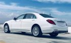 Mercedes-Benz 2022 - Mercedes S450 Limited - đẳng cấp doanh nhân, trả trước 1.106 triệu nhận xe