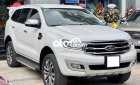 Ford Everest  Titanium AT 2017 - Bán Ford Everest Titanium AT sản xuất năm 2017, màu trắng