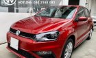 Volkswagen Polo 2021 - [Volkswagen Sài Gòn] tổng đại lý phân phối và nhập khẩu xe Polo Hatchback lớn nhất miền Nam, LH trực tiếp hotline PKD
