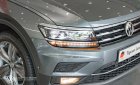 Volkswagen Tiguan 2022 - [Volkswagen Quận 7] bán Tiguan xe Đức nhập - Giảm tiền mặt tặng phụ kiện - Trả góp 20 triệu/tháng, trả trước 578.7 triệu