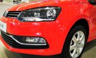 Volkswagen Polo 2019 - Cần bán xe Volkswagen Polo đời 2019, màu đỏ, nhập khẩu nguyên chiếc