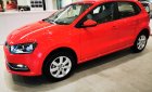 Volkswagen Polo 2019 - Cần bán xe Volkswagen Polo đời 2019, màu đỏ, nhập khẩu nguyên chiếc