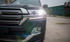 Toyota Land Cruiser 2019 - Bán Toyota Land Cruiser 5.7 V8 sản xuất năm 2019, màu đen còn mới