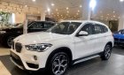 BMW X1 2022 - Cần bán BMW X1 sDrive18i năm 2022, màu trắng, xe nhập