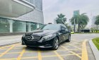 Mercedes-Benz 2015 - Bán Mercedes-Benz E200 sản xuất năm 2015, màu đen số tự động