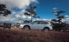 Subaru Forester 2021 - Bán xe Subaru Forester năm sản xuất 2021