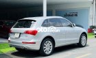 Audi Q5 2009 - Màu bạc model 2010